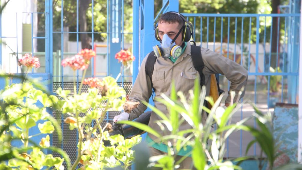 Alerta en Tucumán por nuevos casos de dengue