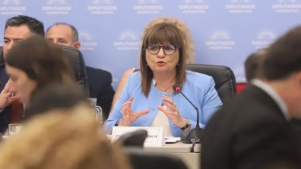 Ley Ómnibus: Bullrich confirmó que retirarán el artículo que obligaba a pedir permiso para reuniones de tres personas