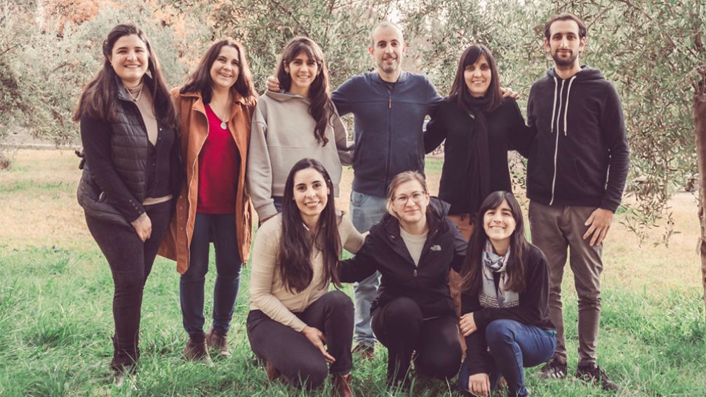 Ciencia argentina: investigadores del Conicet descubren ibuprofeno en un tipo de lechuga