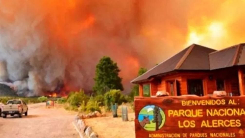 Bajo fuego: arde el Parque Nacional los Alerces en Chubut y advierten que 600 hectáreas de bosque quedaron calcinadas