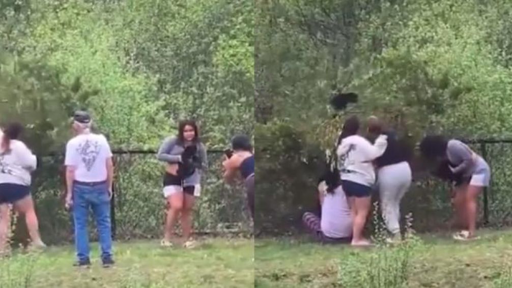 Polémica: un grupo de personas lastimó a un oso bebé por querer tomarse una selfie