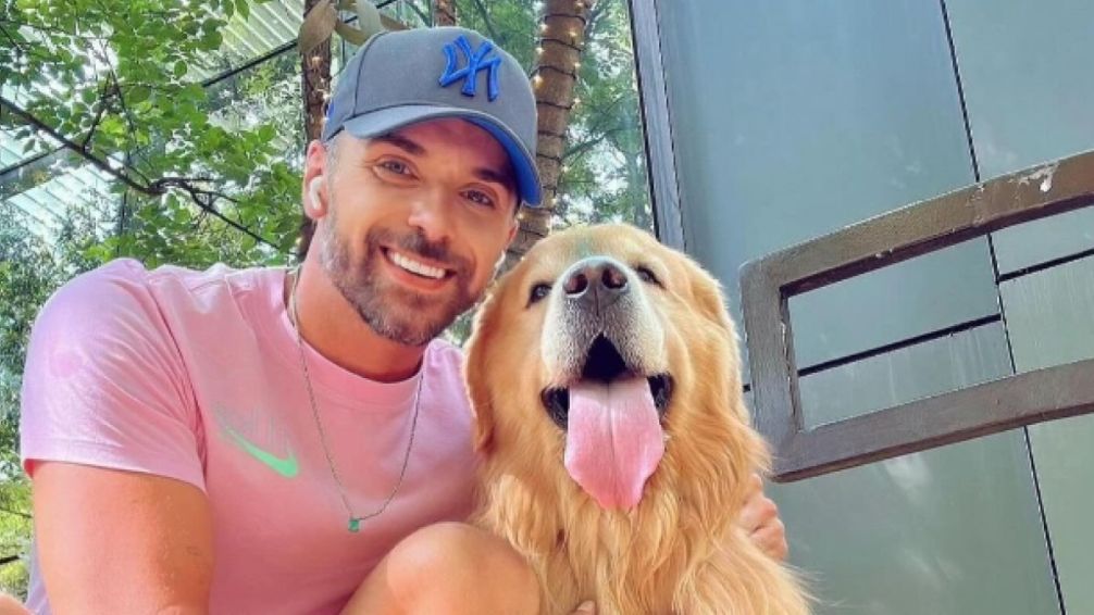 Furia en Brasil por la muerte de un perro que fue transportado en un vuelo equivocado: Lula pidió a la aerolínea 'rendir cuentas'