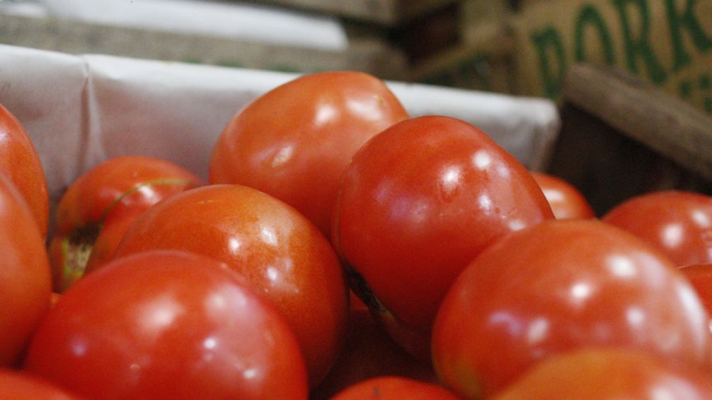 El precio del tomate aumento un 200% ¿A qué se debe?