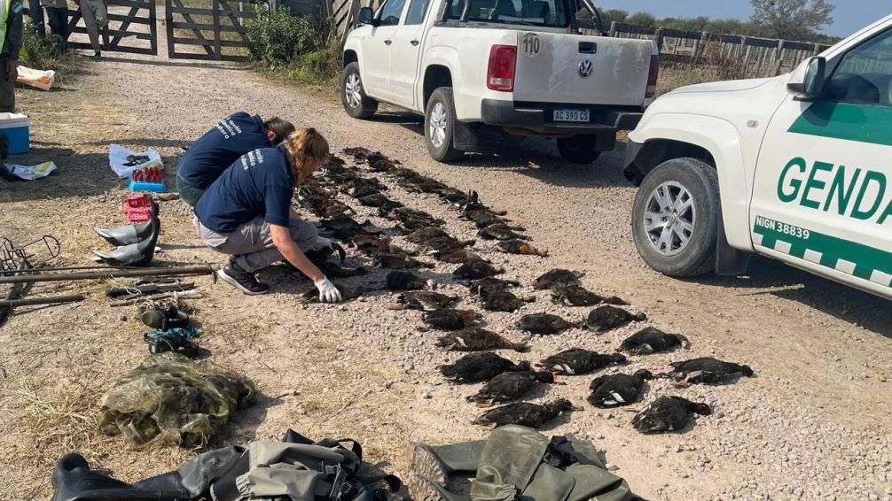 Turistas extranjeros fueron demorados cuando regresaban de una jornada de cacería