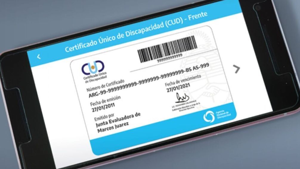 El Gobierno estableció nuevos criterios para el Certificado Único de Discapacidad
