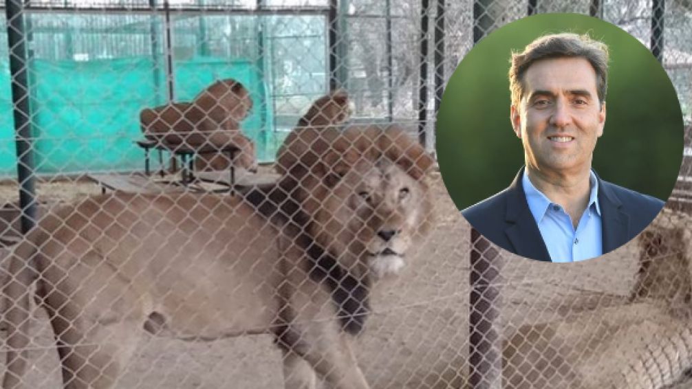 Escándalo judicial en el zoo de Luján: investigan maltrato y crueldad animal