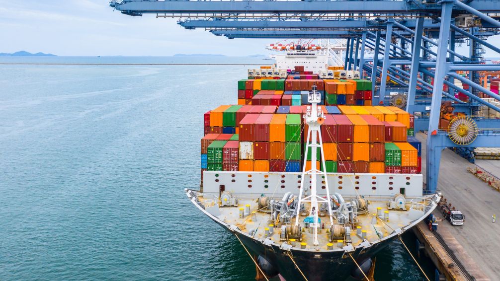 Las exportaciones agropecuarias dominicanas crecieron un 32% en lo que va de 2024