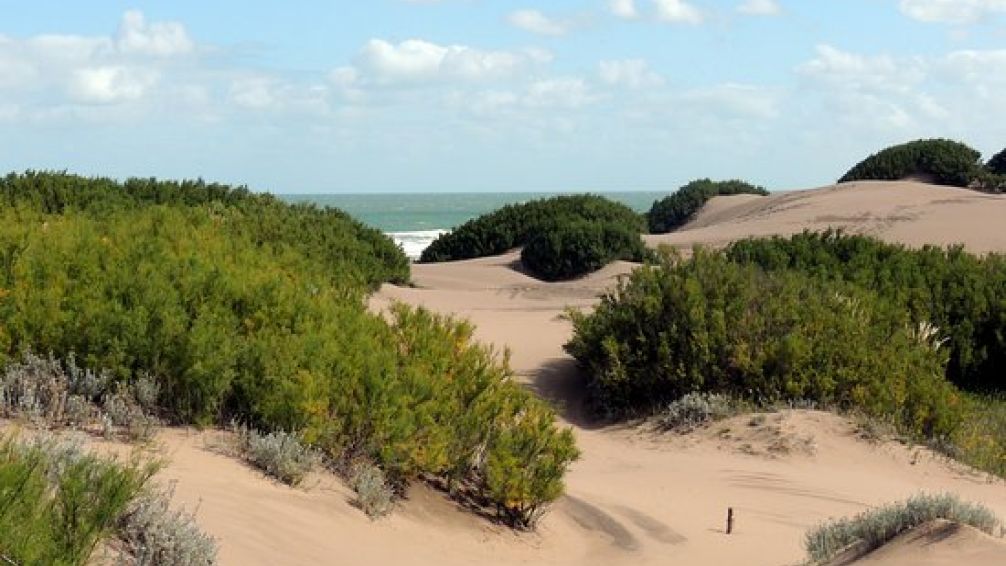 'Ladrona de arena' ataca en Mar Chiquita: la detuvieron intentando robar un médano
