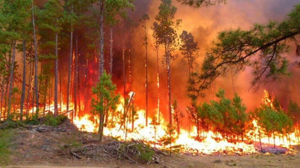 Un hombre fue detenido por intento de incendio en Villa Yacanto: los vecinos lo redujeron tras su advertencia