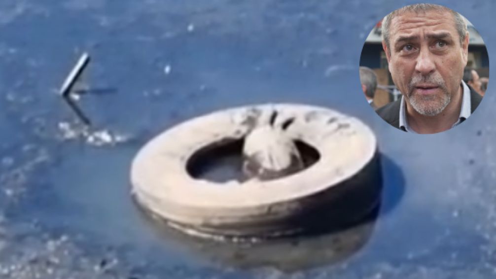 Avellaneda: preocupación por la contaminación y el entorno para las tortugas en el Riachuelo