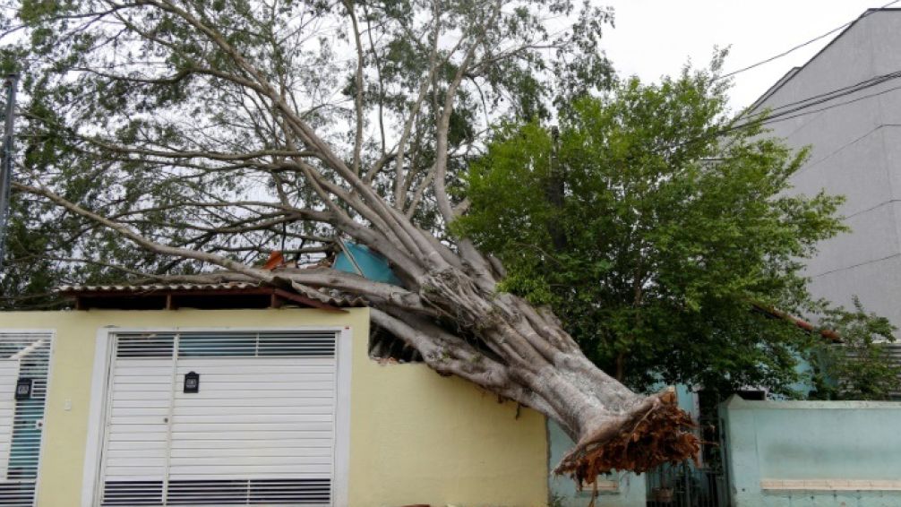 Fuertes lluvias en São Paulo dejan al menos 8 muertos y millones de personas sin luz