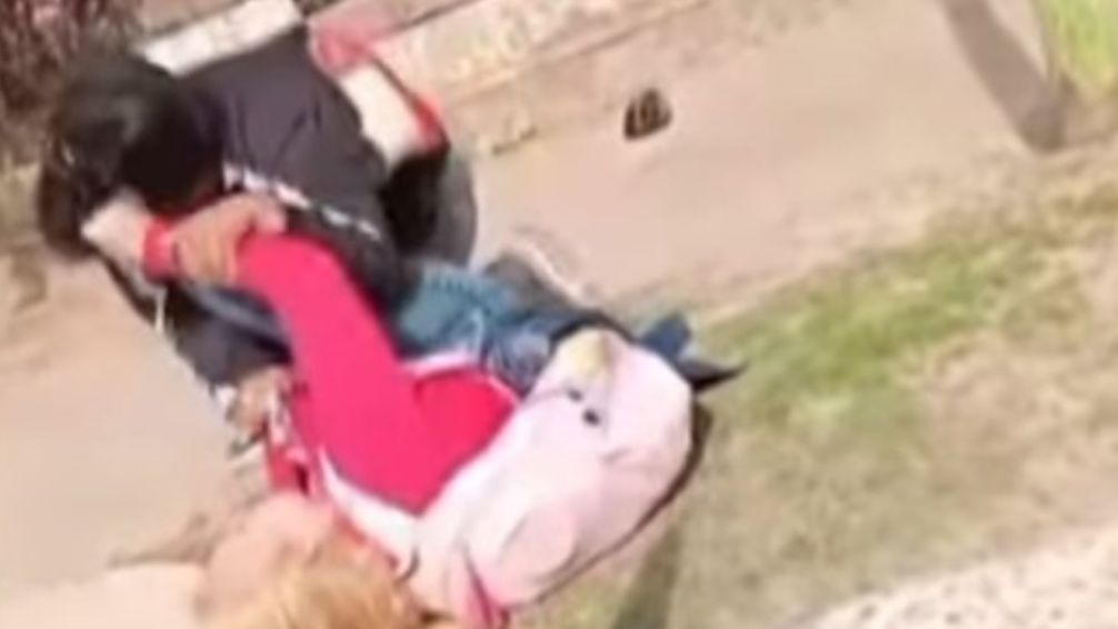 Nueva golpiza a una maestra de un jardín de infantes en Malvinas Argentinas 