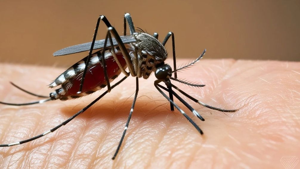 Costa Rica duplica los casos de dengue y ya suma cinco muertos