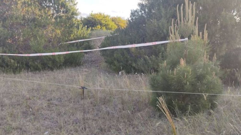VIDEO: encontraron una granada activa en un descampado de Villa Gesell 