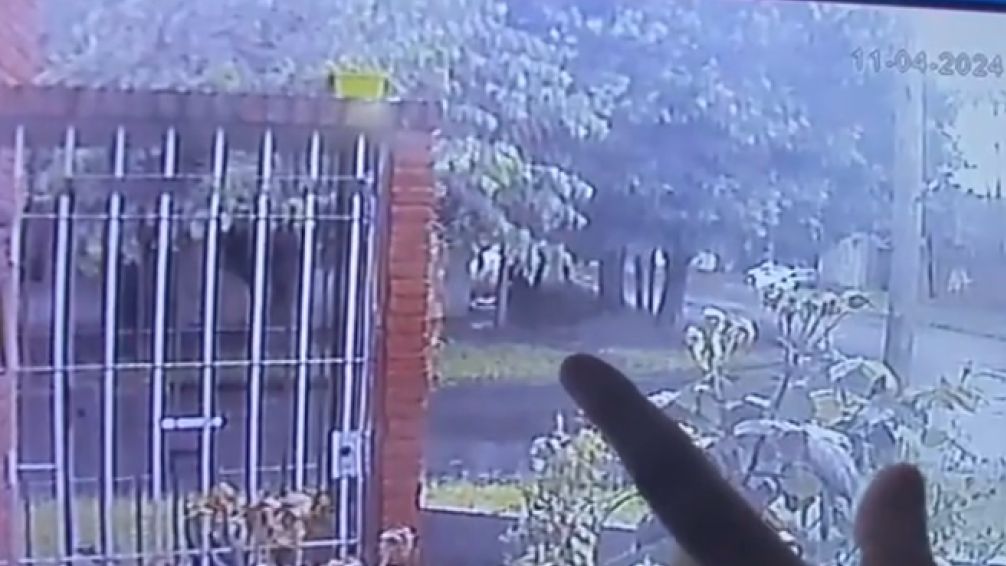 Bebé abandonado en La Plata: identificaron a la mujer que lo dejó en plena tormenta