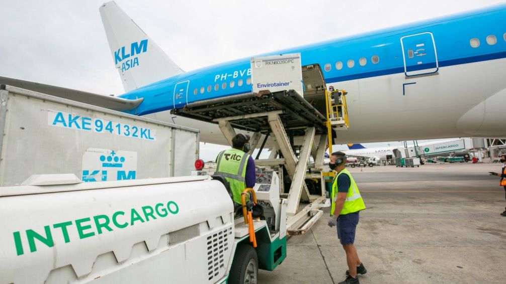 El gobierno despide a 15 trabajadores de intercargo por medida gremial y los acusa de torturar a los pasajeros