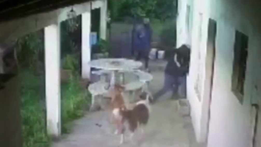 Entradera en La Plata: jubilado se quiso defender con un palo pero los ladrones lo redujeron y lo golpearon