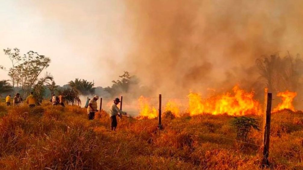 Arde Bolivia: el Gobierno confirmó que más de 10 millones de hectáreas fueron alcanzadas por el fuego