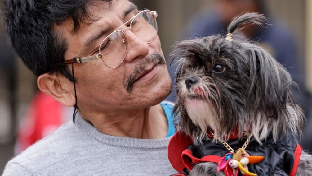 Perú: proyecto de ley busca crear licencia laboral por muerte de mascotas