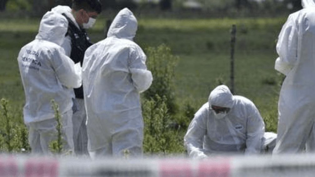 Horror en La Plata: encontraron un cuerpo descuartizado a hachazos en una bolsa