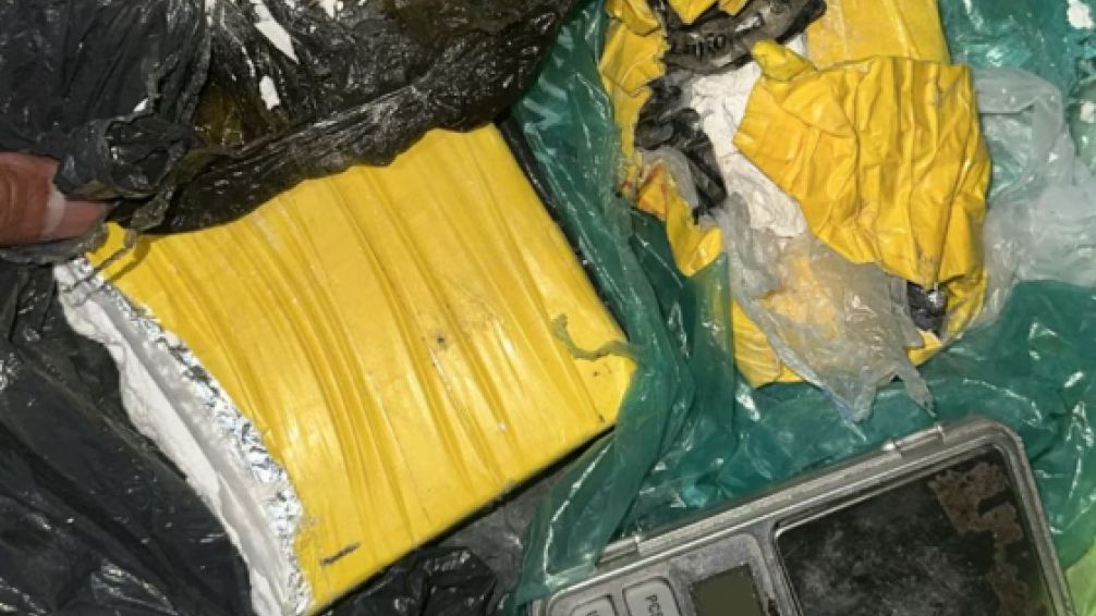 La Plata: dos detenidos con posesión de cocaína y medio millón de pesos