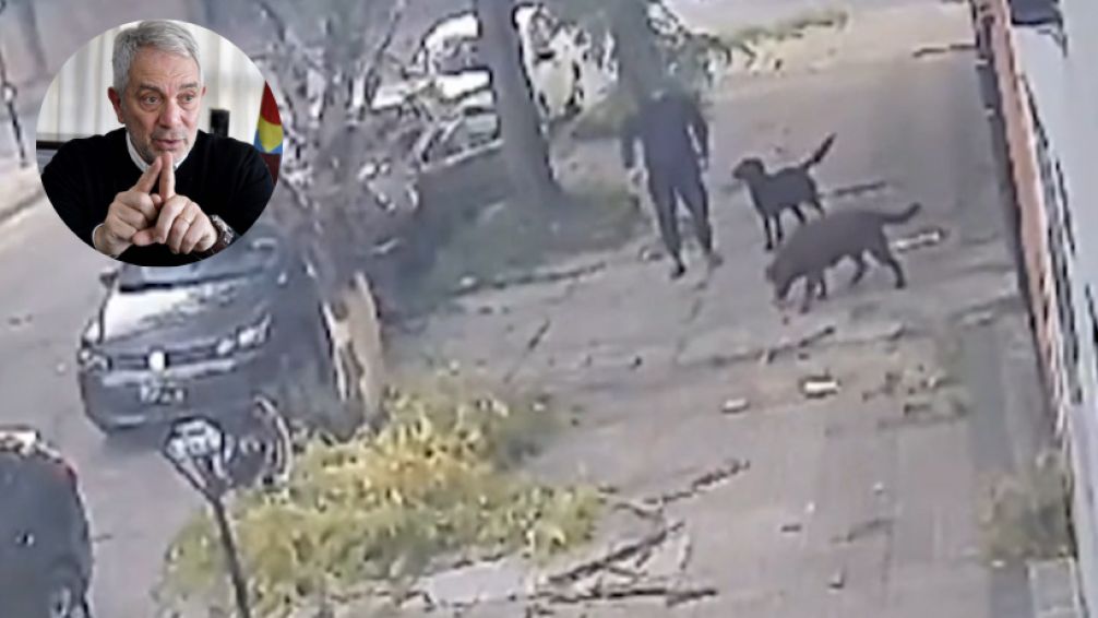 La Plata: Motochorros querían llevarse un auto pero dos perros evitaron el robo
