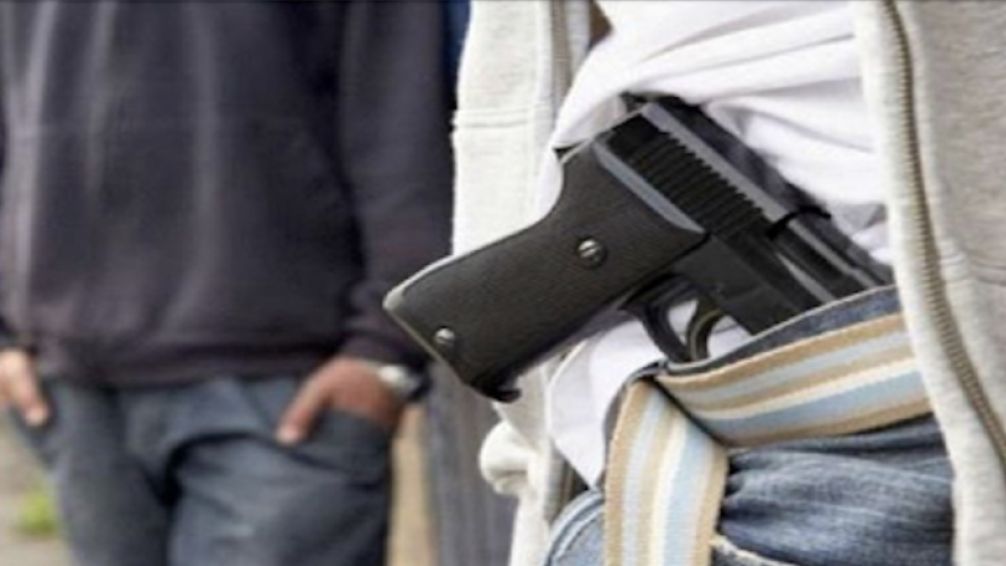 El Gobierno autoriza la portación de armas a partir de los 18 años