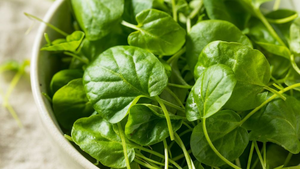 Berro: el secreto natural para desinflamar y cuidar tu piel