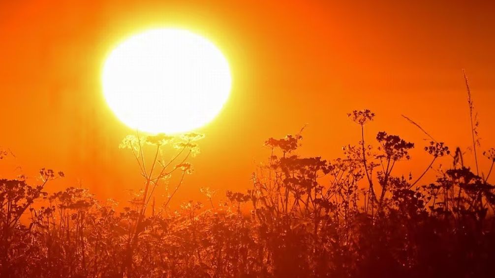 Advierten que por la ola de calor, la demanda de energía puede batir un récord histórico este verano