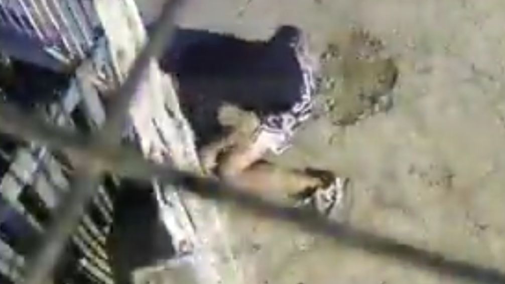 Policía de la Ciudad abatió a un ladrón durante un intento de robo en Isidro Casanova: quisieron robarle la moto
