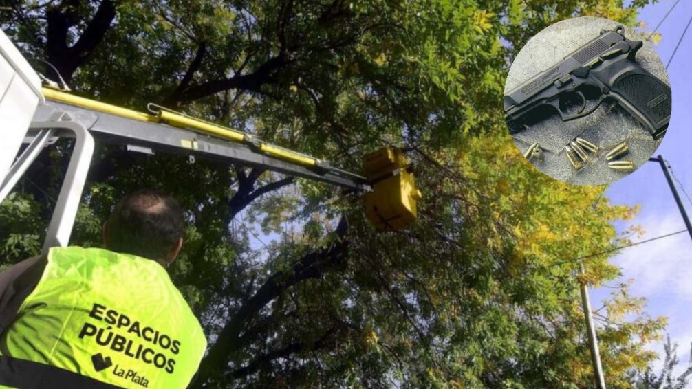 La Plata: empleados municipales cortaban el pasto y encontraron un arma reglamentaria de la bonaerense