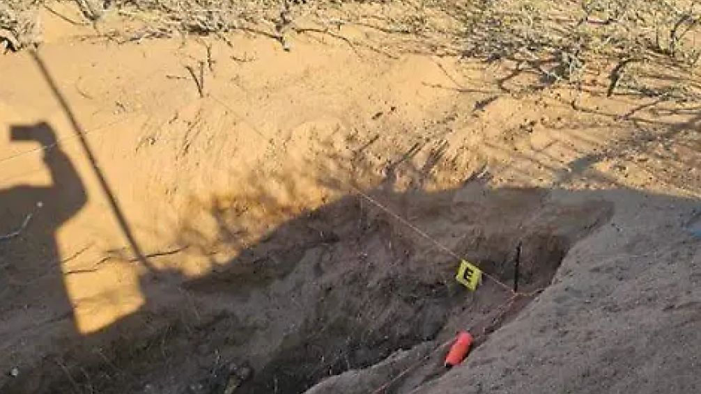 Encontraron 56 cadáveres en una fosa clandestina en Chihuahua