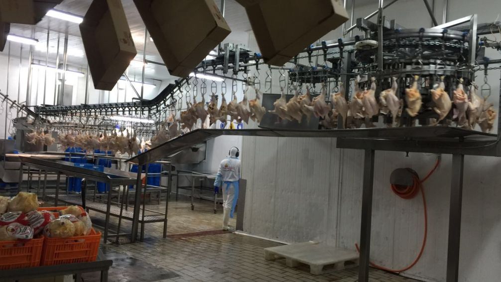 Granja Tres Arroyos: despiden a 70 trabajadores y advierten sobre posibles cesantías masivas