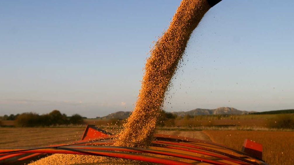 El sector agropecuario atraviesa un cóctel explosivo de factores externos e internos que arrasa con sus ganancias, aunque recién en los últimos días, de la mano del segmento más concentrado de la acti
