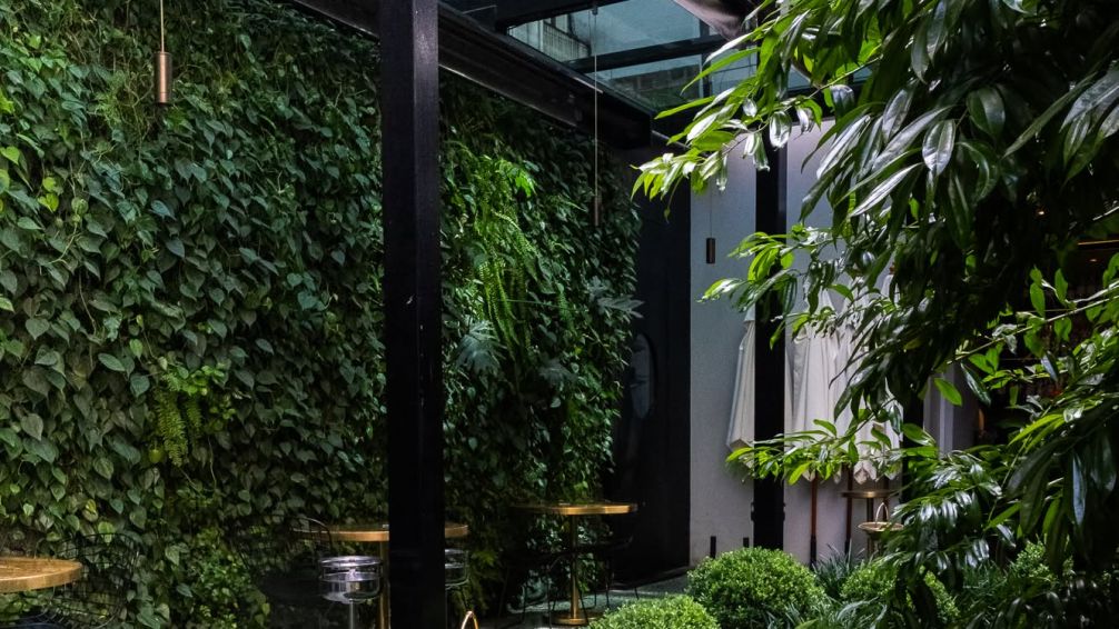 Los mejores restaurantes y bares con patio, terraza o jardín en Palermo para disfrutar al aire libre