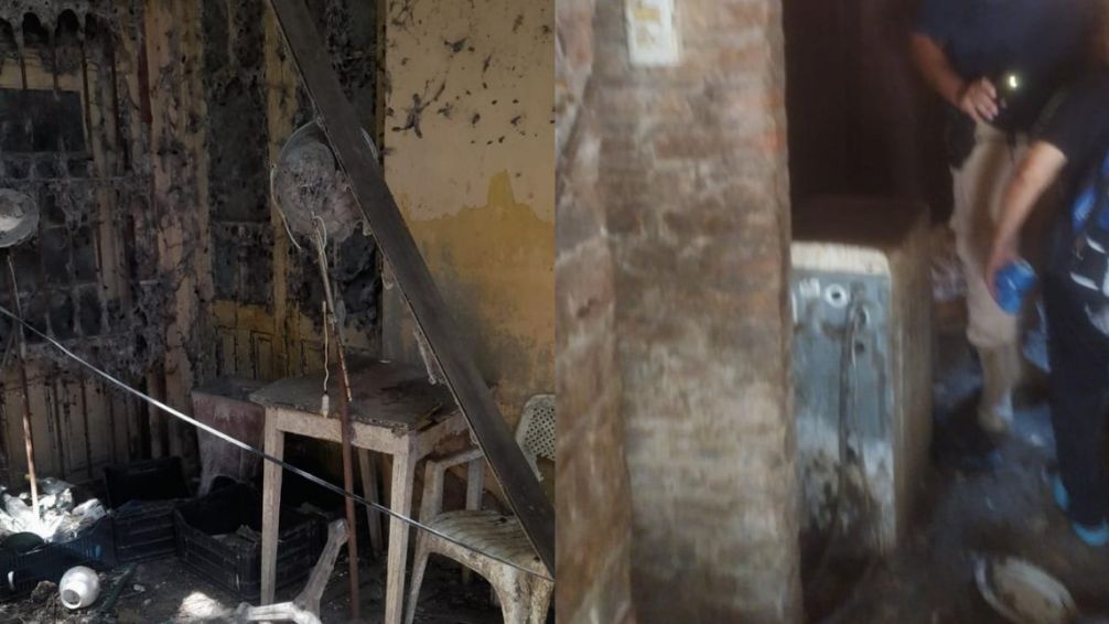Berisso, un asco: hallan animales muertos en una vivienda e investigan qué pasó