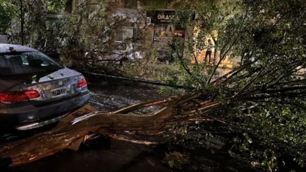 Fuerte temporal provocó destrozos y cortes de luz en Mar del Plata