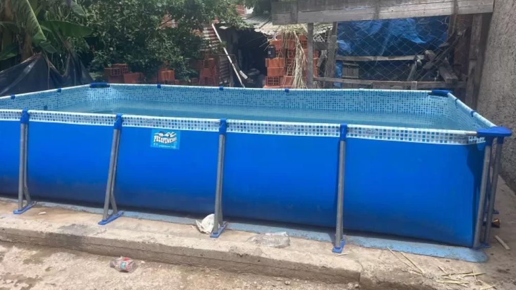 Horror en Berisso: intentó matar a su pareja ahogándola en la pelopincho