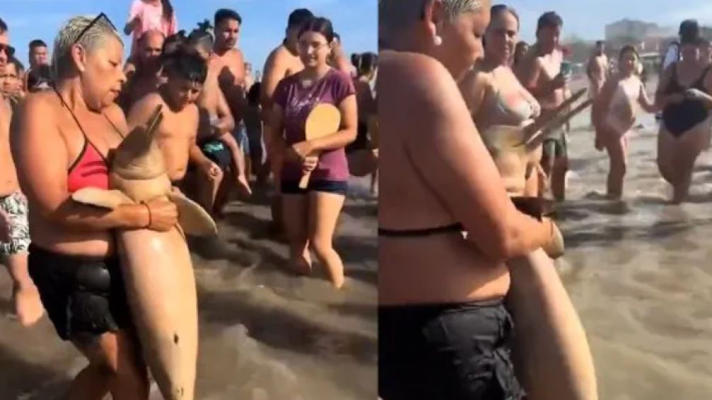 Apareció un delfín muerto en Mar de Ajó y los turistas aprovecharon para sacarse fotos 