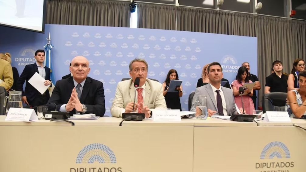 La suspensión de las PASO, cada vez más cerca: el Gobierno consiguió firmas para tratar la ley en Diputados