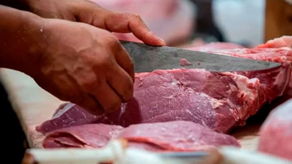 Aumento de la carne: ?La suba va estar entre el 18% y el 20%?
