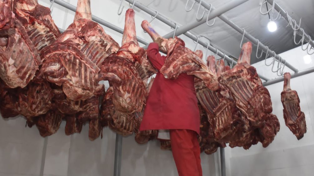 Bolivia enfrenta pérdidas diarias de medio millón de dólares por veto a la exportación de carne