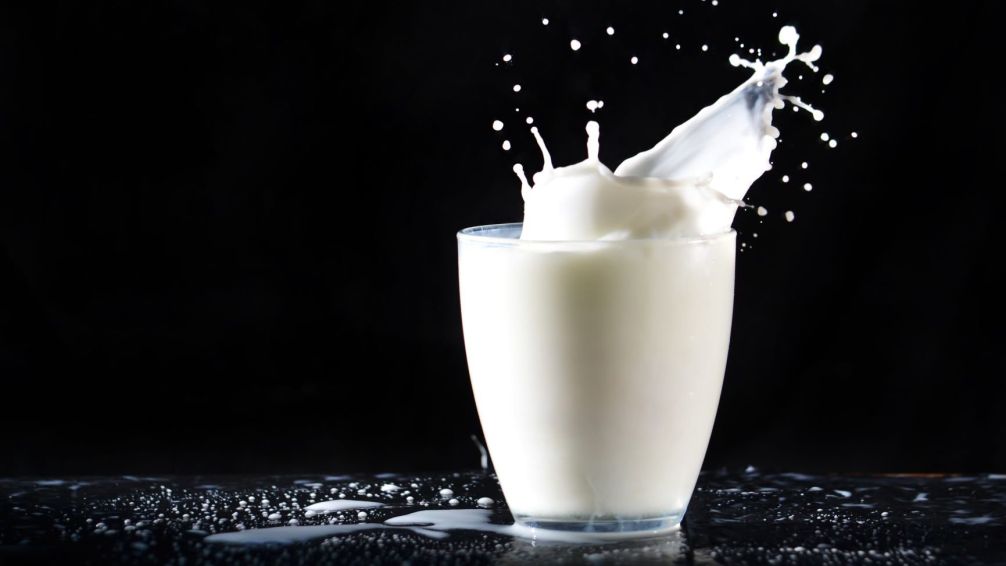 ¿Es hora de dejar la leche? Harvard revela sus posibles efectos negativos en adultos