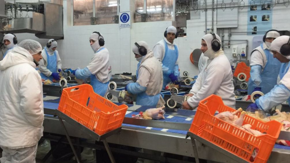 El curioso sincericidio de Granja Tres Arroyos: caída de exportaciones y pagos de salarios fraccionados