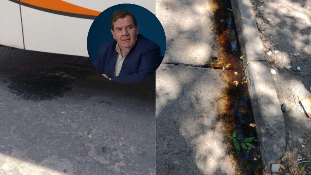 Mar del Plata, un asco: vecinos denuncian que los micros vacían los baños en la vereda de su casa
