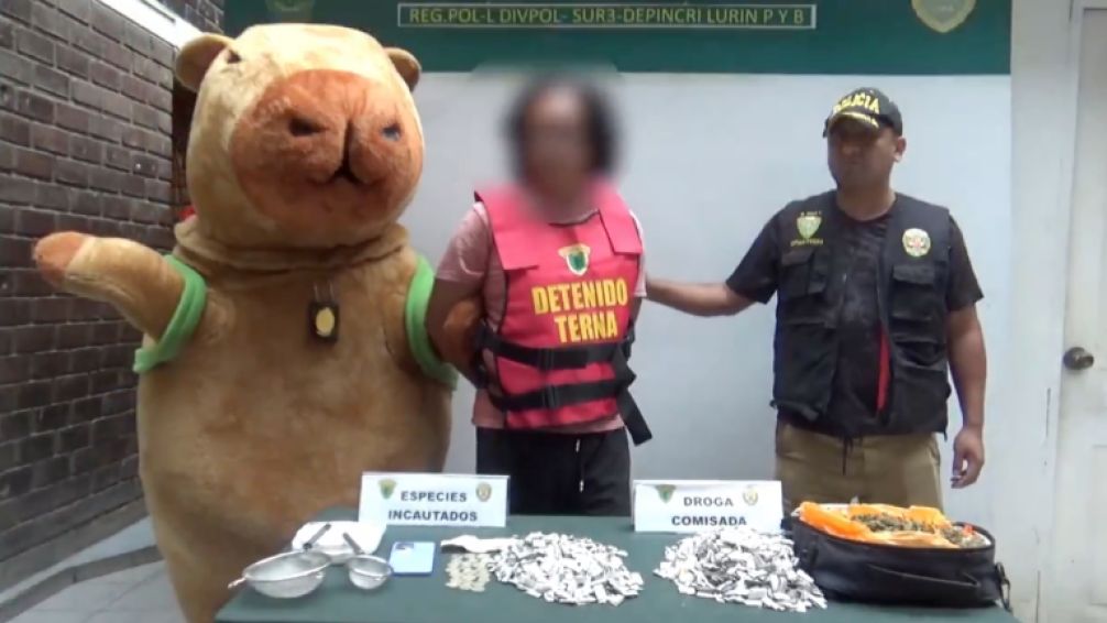 Capibara justiciero: policía disfrazado detuvo a un peligroso traficante de drogas en Perú