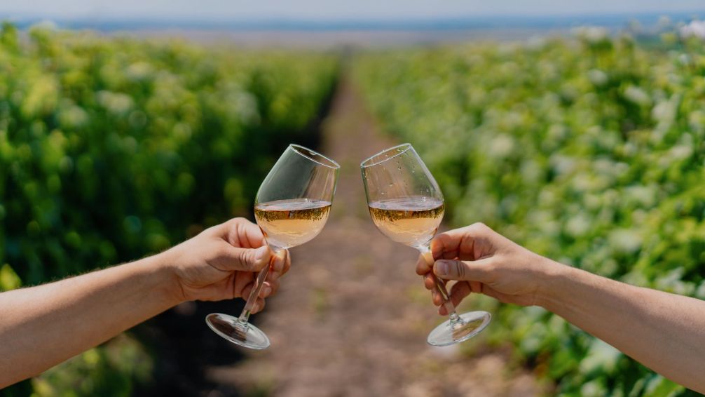 Bodegas Salentein: Un viaje entre vinos y paisajes en el corazón del Valle de Uco