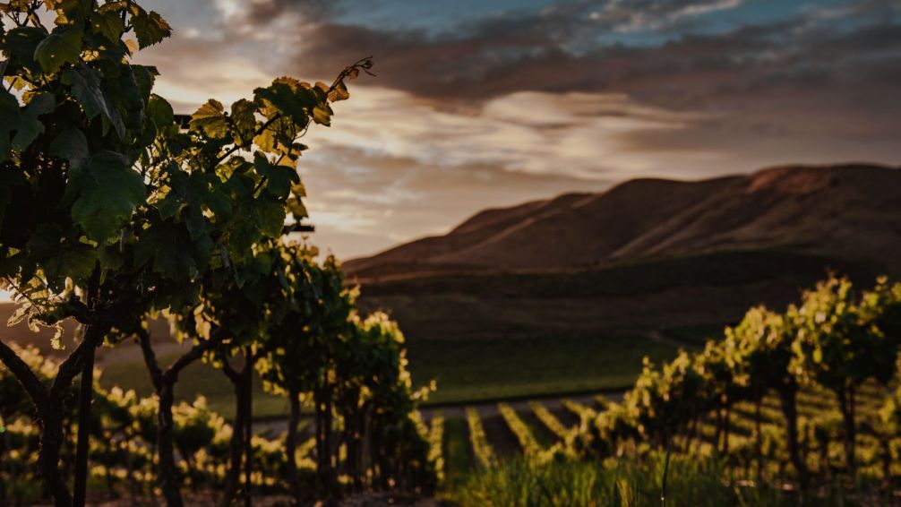 Valle de Uco: La joya vitivinícola de Mendoza que tenés que conocer