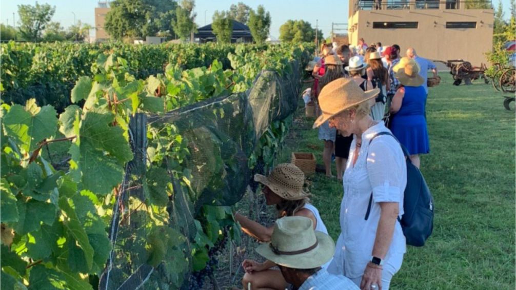 Gualeguaychú celebra su primera Semana de la Vendimia: vino, cultura y tradición