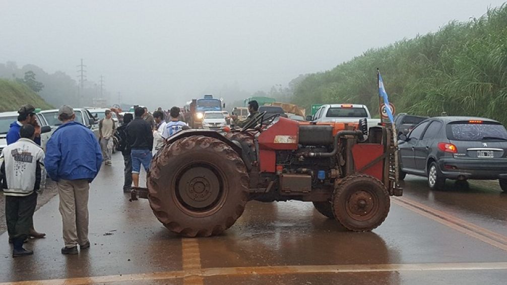 Crisis en el sector yerbatero: productores denuncian caída del precio y alertan sobre desabastecimiento